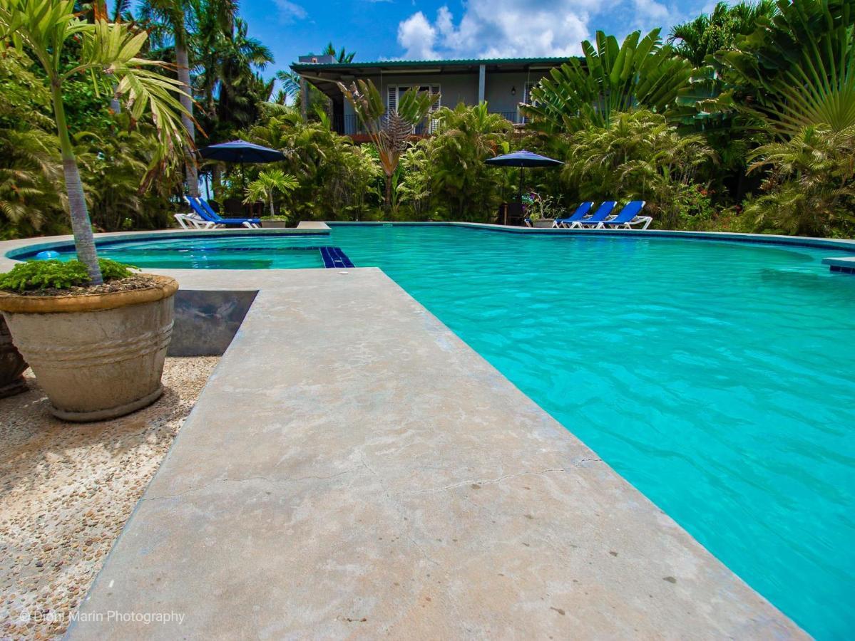 Almond Tree Hotel Resort Коросаль Экстерьер фото